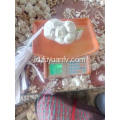 Paket dalam 500gx20 / 10kg Bawang Putih